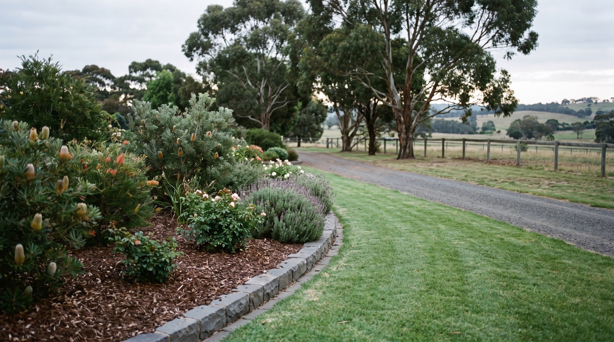A mulched native garden bed and mown lawn beside a country driveway near Ballarat