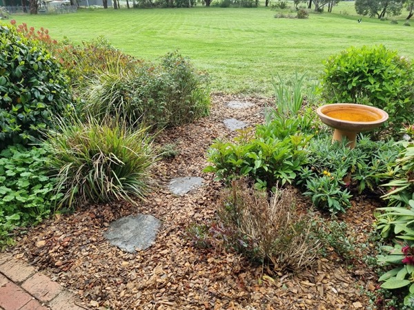 A planted garden bed with a birdbath, kept tidy beside the lawn
