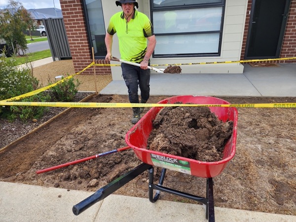 A barrow of soil being spread into a new garden bed beside a house