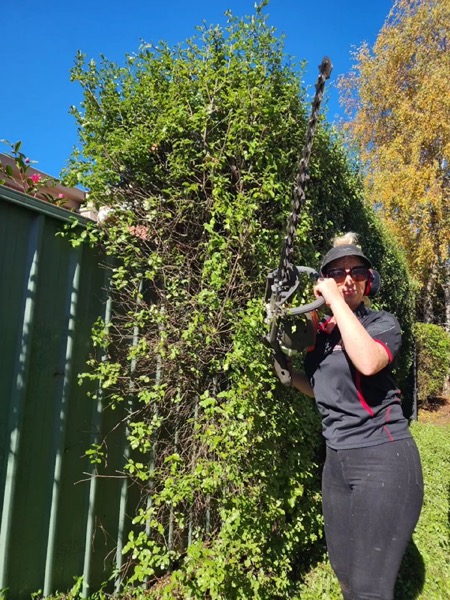 Cutting back an overgrown hedge with a pole saw against a colorbond fence