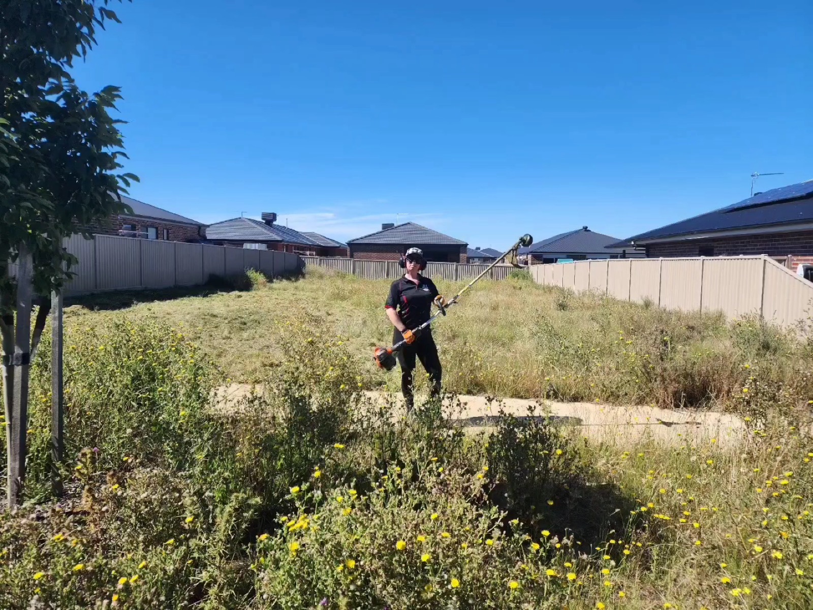An overgrown block of long grass and weeds being cut back with a whipper snipper